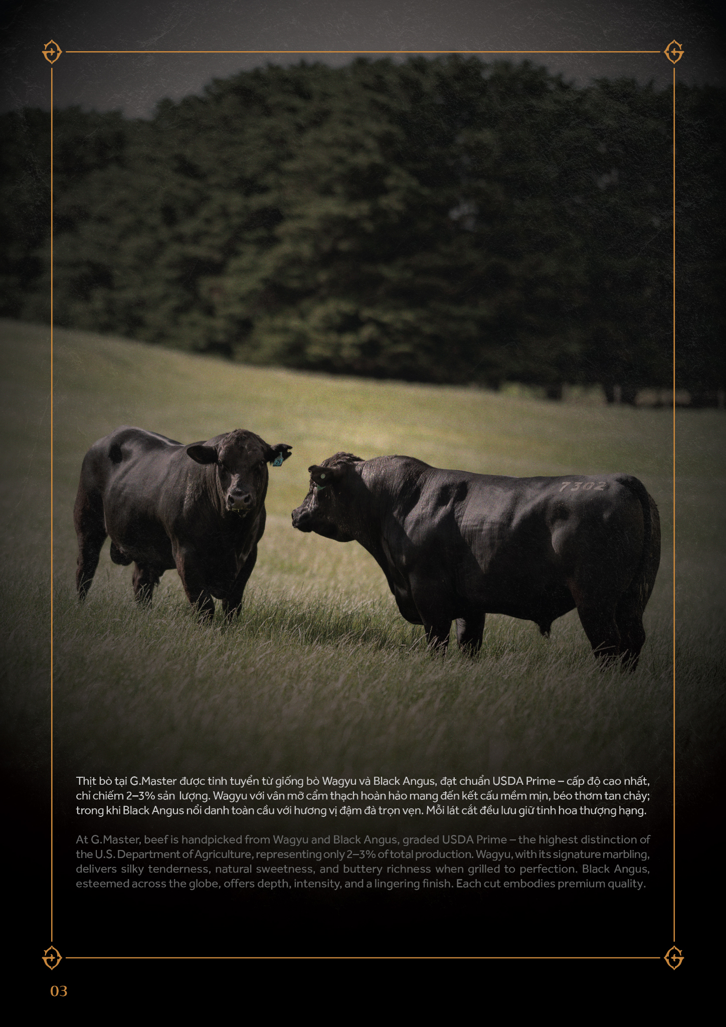 Thịt Bò - Hình 1